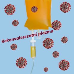 Sokolov: Prosba transfúzního oddělení - přijďte darovat plazmu