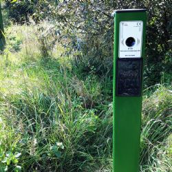 Sokolov: Proti divočákům byly nainstalovány ultrazvukové odpuzovače