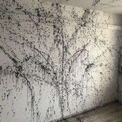 Sokolov: Rekonstruovaný byt postříkal černou barvou