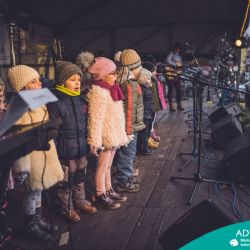 Sokolov: Rozsvěcení vánočního stromu v neděli odstartovalo sérii adventních akcí