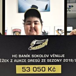 Sokolov: Šek z dražby dresů HC Baník doputoval ke Standovi