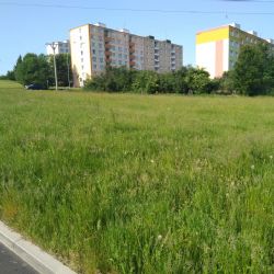 Sokolov: Šest lokalit ve městě bude bez pravidelné seče