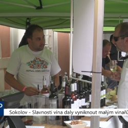 Sokolov: Slavnosti vína daly vyniknout malým vinařům (TV Západ)