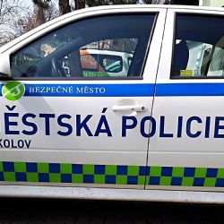 Sokolov: Srna byla zamotaná v pletivu