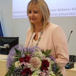 Sokolov: Starostkou města se stala Renata Oulehlová