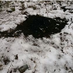 Sokolov: Strážníci chytili zloděje kabelů