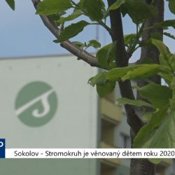 Sokolov: Stromokruh je věnovaný dětem roku 2020 (TV Západ)