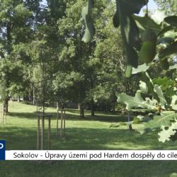 Sokolov: Úpravy území pod Hardem dospěly do cíle (TV Západ)