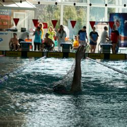 Sokolov: V sobotu se konal XVI. ročník závodu tělesně postižených plavců Pohárek