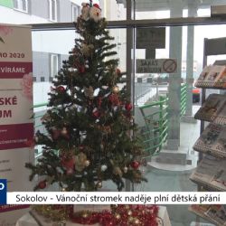 Sokolov: Vánoční stromek naděje plní dětská přání (TV Západ)