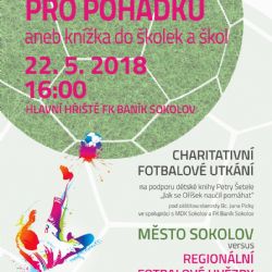 Sokolov: Ve městě proběhne benefiční utkání Hrajeme pro pohádku