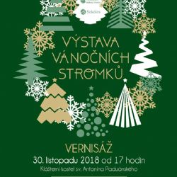 Sokolov: Ve městě se bude konat výstava vánočních stromků