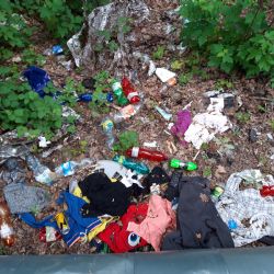 Sokolov: Z černých skládek jsou odváženy tuny odpadků