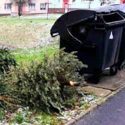 Cheb: Blíží se splatnost poplatků za odpad a ze psů