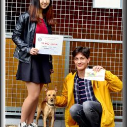 Sokolov: Žáci uspořádali jarmark. Výtěžek darovali útulku 