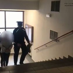 Sokolov: Zpronevěřila téměř dva miliony