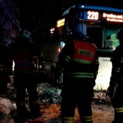 Sokolovsko: Autobus narazil do stromu