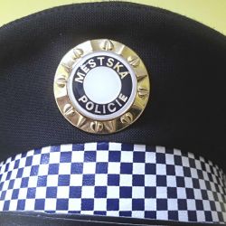 Sokolovsko: Liška v kanále, srna na dálnici či kočka v autě 