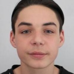 Sokolovsko: Policie pátrá po dvou pohřešovaných chlapcích