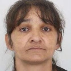 Sokolovsko: Policie pátrá pohřešované 47leté ženě