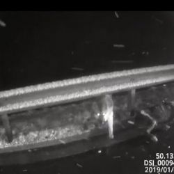 Sokolovsko: Při nehodě došlo ke sražení psa. Hledá se majitel