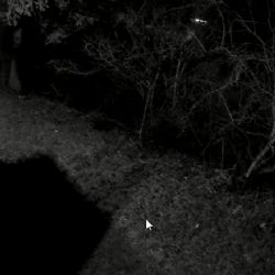 Sokolovsko: Z benzinky odcizil 150 krabiček cigaret