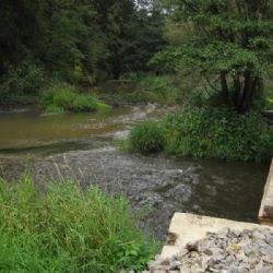 Společnost CHEVAK dostala pokutu za znečištění Kosového potoka