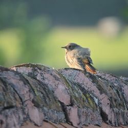 Stačí pár kapek vody