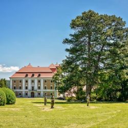 Stále můžete hlasovat v anketě Strom roku 2020