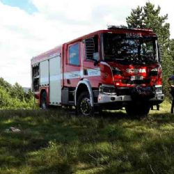 Stará Role: Hasiči vyjížděli k požáru lesního porostu