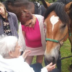 Stará Role: Seniory potěšila návštěva ochočených zvířátek 