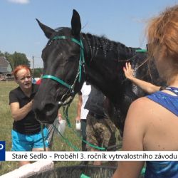 Staré Sedlo: Proběhl 3. ročník vytrvalostního závodu koní (TV Západ)