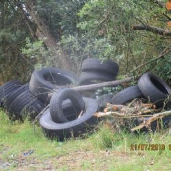 Střížov: U obce bylo nalezeno větší množství odhozených pneumatik