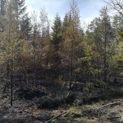 Svatý Kříž: Včerejší požár likvidovaly čtyři jednotky hasičů