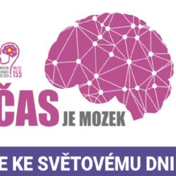 Světový den boje proti mozkové mrtvici