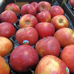 SZPI varuje před jablky z Polska. Obsahují pesticid