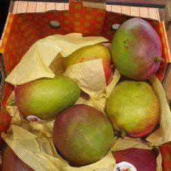 SZPI zjistila v tržní síti mango obsahující pesticid. Limit byl překročen až třináctkrát 