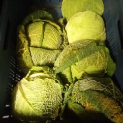 SZPI zjišťuje další dovozovou zeleninu s nadlimitní přítomností pesticidů