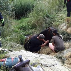 Teplá: Do odtoku rybníka spadl kůň i s jezdkyní