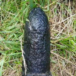 Teplá: Na zahradě nalezl dělostřelecký granát