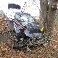 Toužim: Z důvodu mikrospánku havaroval. Narazil do stromu