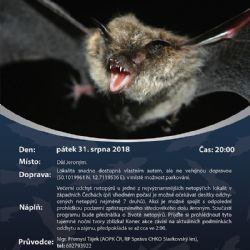 Tradiční večerní akce zaměřené na netopýry se blíží