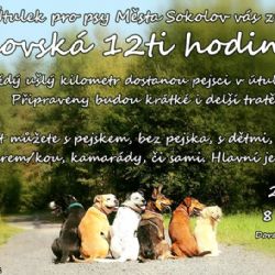 Útulek zve na Vránovskou 12ti hodinovku 