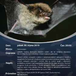 Dnes začíná Netopýří noc u dolu Jeroným