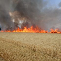 V posledních dnech výrazně přibývá požárů na polích