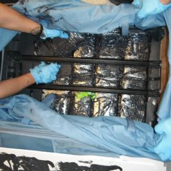 V rámci policejní operace Vombat bylo jen v ČR obviněno 60 osob