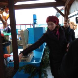 Vánoční kapři se letos budou v ČR prodávat takřka na 2600 místech