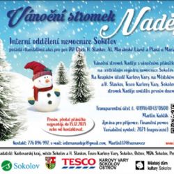 Vánoční stromek Naděje zazáří i na Krajském úřadě