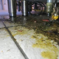 Velká Hleďsebe: V restauraci inspektoři zjistili nejen myší trus