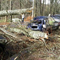 Vichřice. Hasiči řešili přes tři stovky zásahů